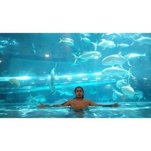 Meet your Posher, Michael